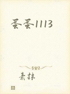 蛋蛋1113
