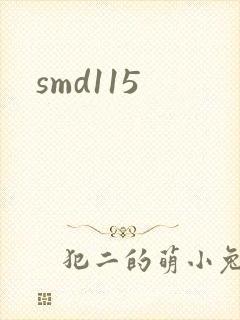 smd115封面