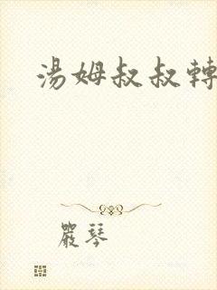 汤姆叔叔转接口
