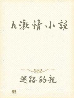 h激情小说