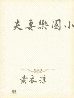 夫妻乐园小说