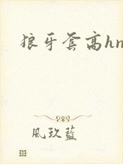 狼牙套高hnp
