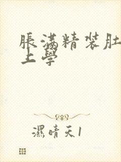 胀满精装肚子去上学封面