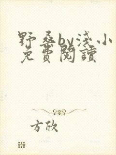 野桑by浅小说免费阅读