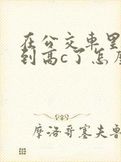 在公交车里c弄到高c了怎么办封面