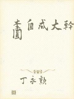 李自成大干陈圆圆封面