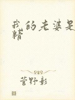 我的老婆是狐狸精封面