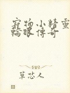 宠物小精灵之写轮眼传奇