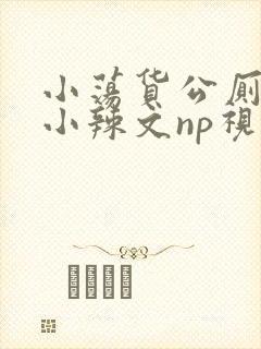 小荡货公厕h文小辣文np视频
