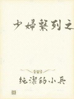 少妇系列之白洁封面