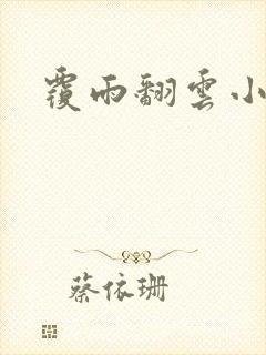 覆雨翻云小说