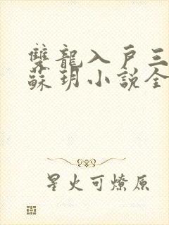 双龙入户三人行苏玥小说全文阅读