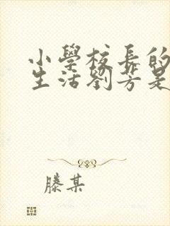 小学校长的幸福生活刘芳是谁封面