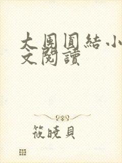 大团圆结小茹全文阅读