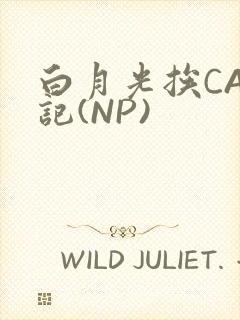 白月光挨CAO记(NP)