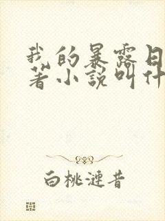 我的暴露日记原著小说叫什么