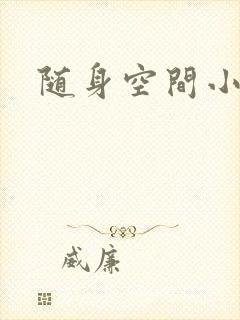 随身空间小说