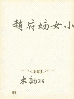 赵府嫡女小说