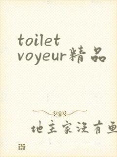 toilet voyeur精品