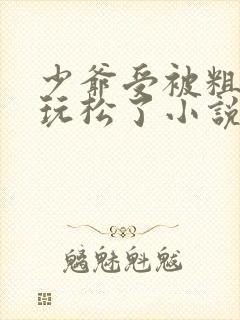 少爷受被粗汉H玩松了小说