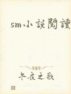 sm小说阅读