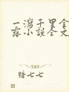 一泻千里金银花露小说全文免费阅读