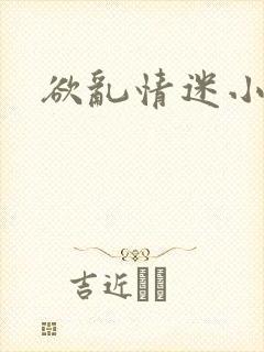 欲乱情迷小说封面