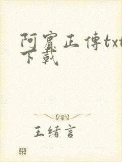 阿宾正传txt下载