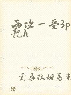 两攻一受3p双龙h