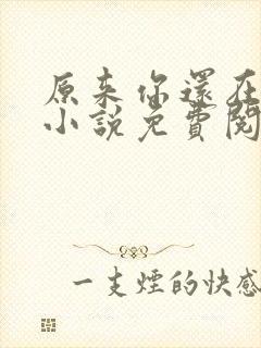 原来你还在这里小说免费阅读