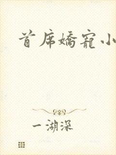 首席娇宠小情人