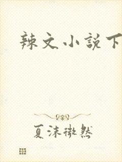 辣文小说下载