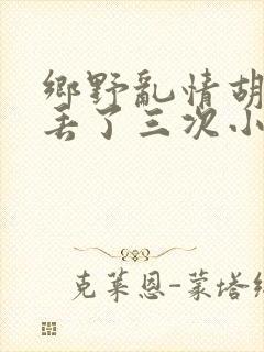 乡野乱情胡秀英丢了三次小说封面