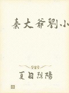 秦大爷刘小静