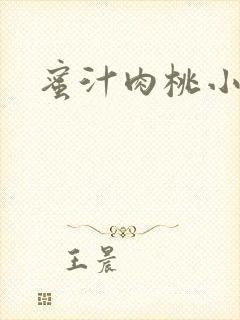 蜜汁肉桃小说
