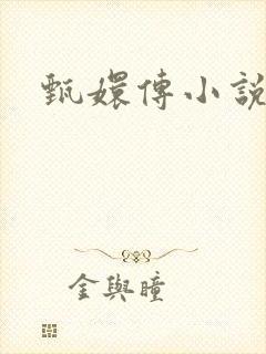 甄嬛传小说