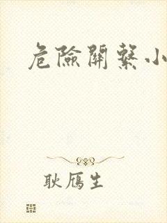 危险关系小说