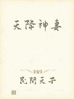 天降神妻