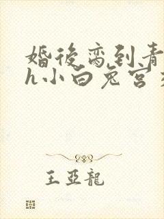 婚后脔到青梅哭h小白兔宫交h封面