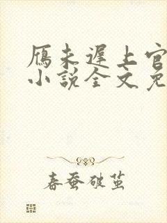 雁未迟上官穿越小说全文免费阅读