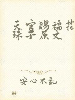 天官赐福花怜塞珠子原文封面