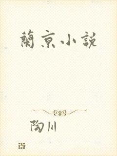 兰京小说封面