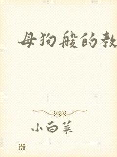 母狗般的教师封面