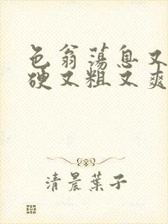 色翁荡息又大又硬又粗又爽
