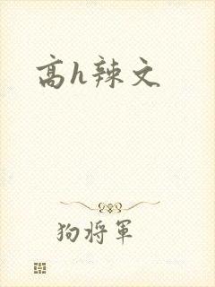高h辣文