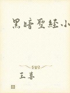 黑暗圣经小说