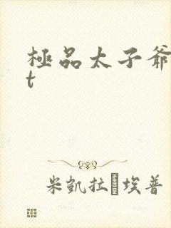 极品太子爷txt封面