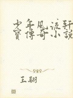 少年风流轩辕大宝传奇小说