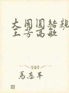 大团圆结亲情会王芳高敏封面