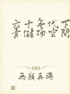 六十年代下乡知青储物空间